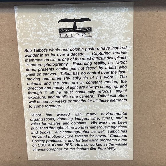 Mint Bob Talbot Whale Tail Framed and Matted under Glass Rare - Picture 3 of 4